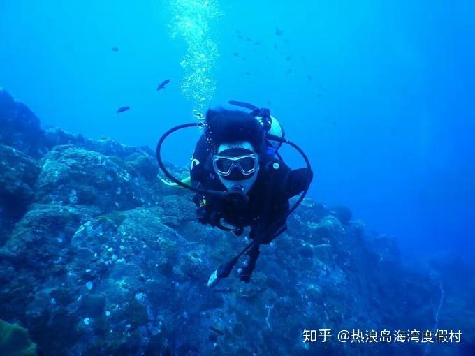 求allow与agree用法的区别-专业问答网站